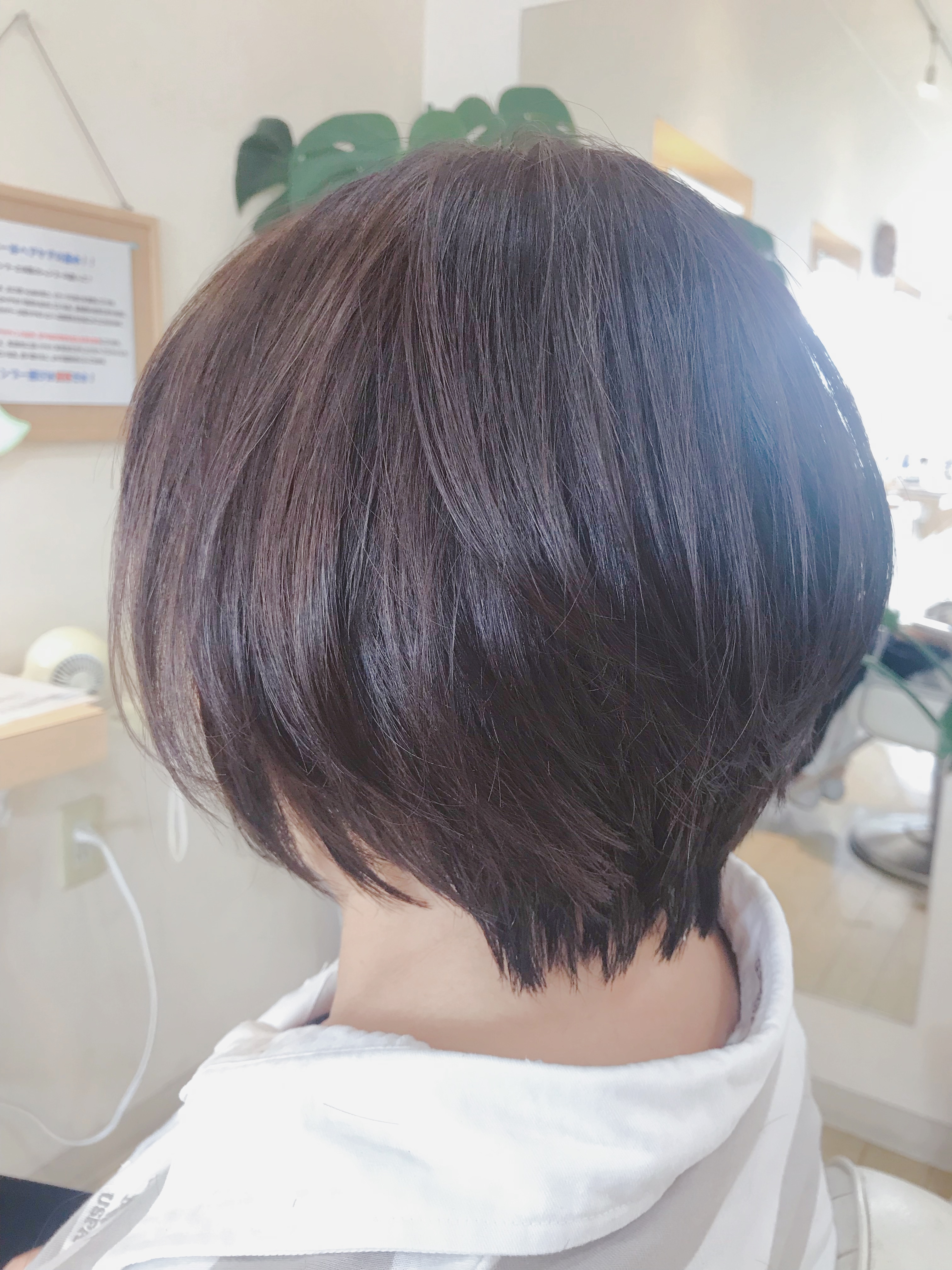 美フォルムショート