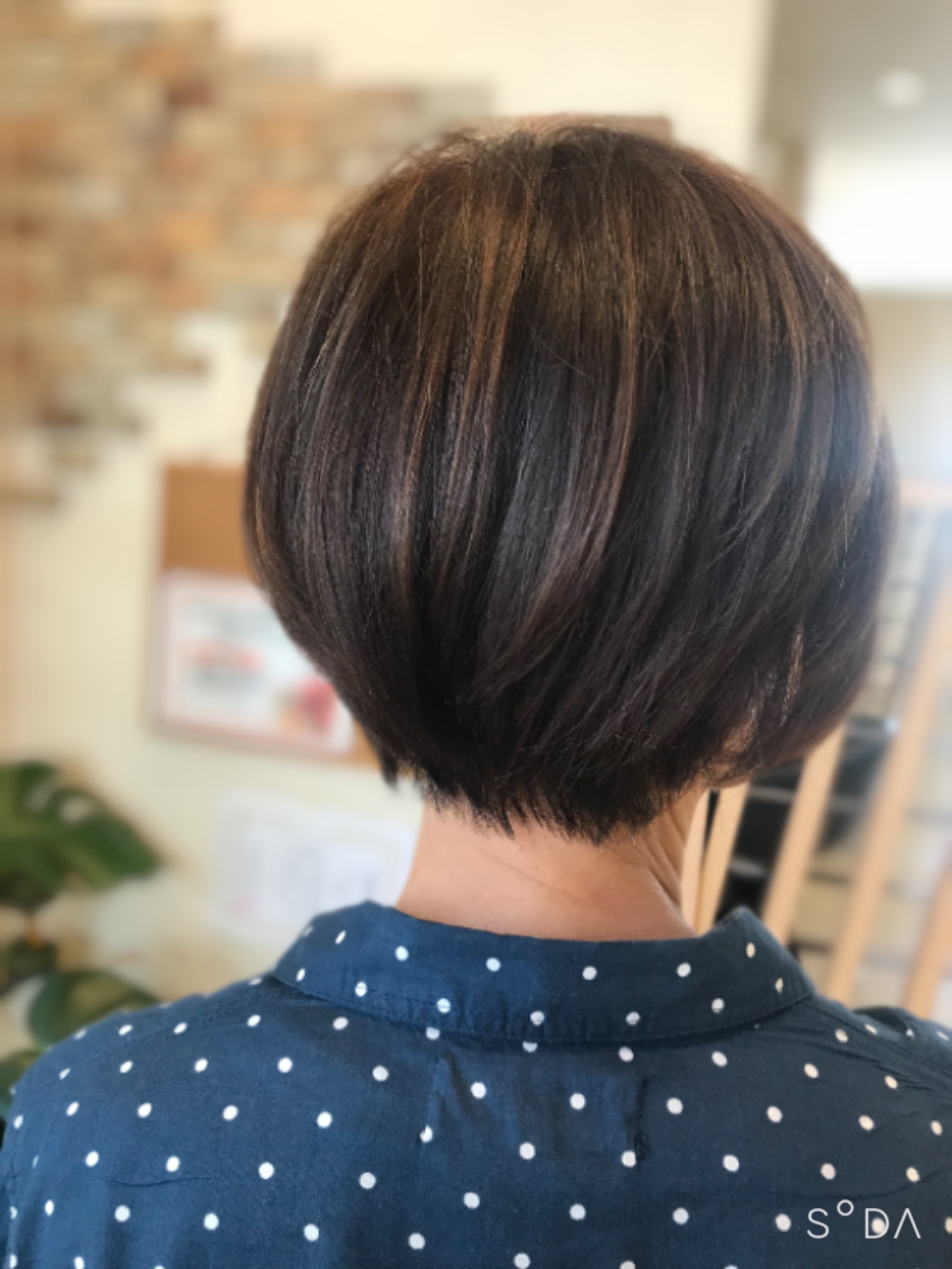 冬もショート